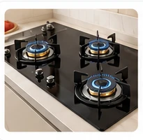 Gas Hob / Stove repair service in Chandigarh
